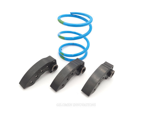 QUIET- LOW RPM FUEL MILEAGE CLUTCH KIT FOR XPEDITION - RZR 1000 XP