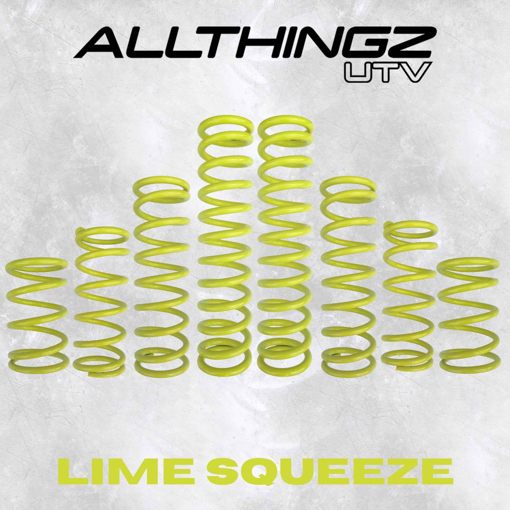 Polaris RZR Pro S 4 Seater Dual Rate Spring Kit