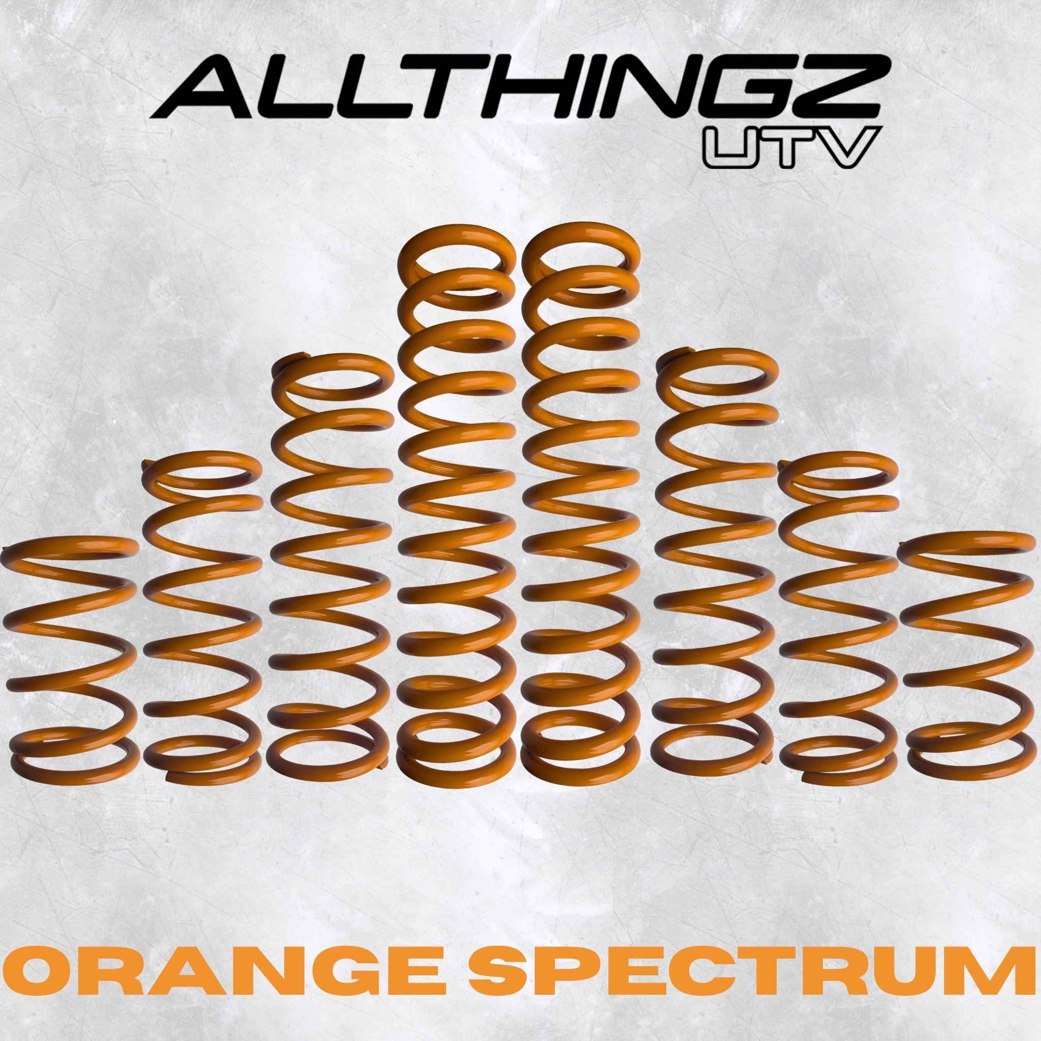 Polaris RZR Pro S 4 Seater Dual Rate Spring Kit