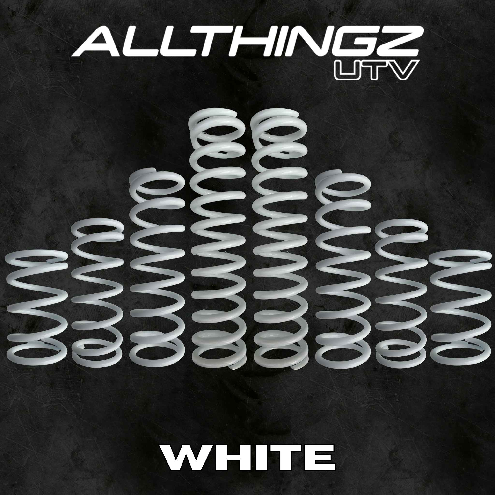 Polaris RZR XP 1000 4 Seater Dual Rate Spring Kit (2024+)